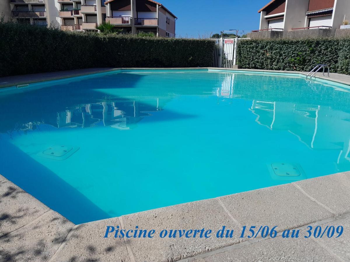 Joli 2 Pieces Sur Le Port Avec Piscine, Terrasse, Parking Apartment กัปเบรอตง ภายนอก รูปภาพ
